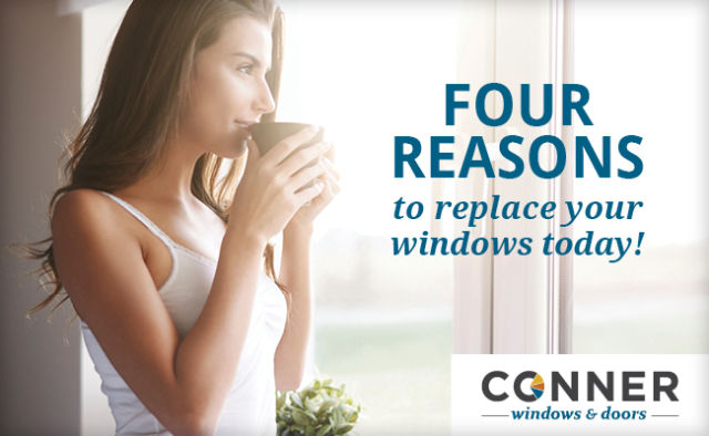 Replacement Windows Lakeland